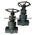 Forged Steel A105 Pressure Seal Thread End NPT Gate Valve